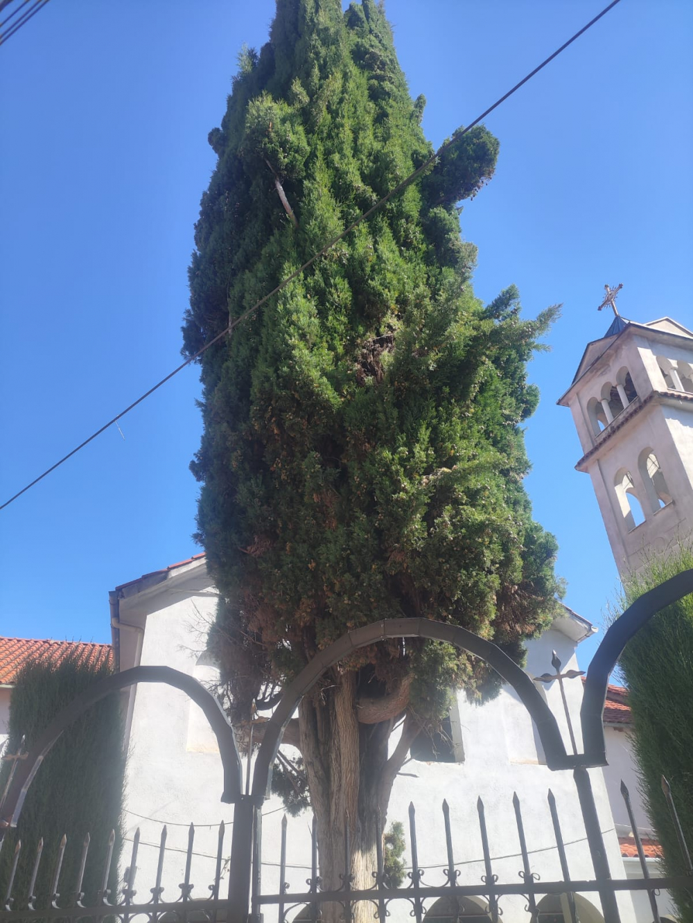 Selvia e kishës “Fjetja e Shën Marisë”, Pogradec